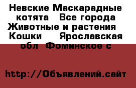 Невские Маскарадные котята - Все города Животные и растения » Кошки   . Ярославская обл.,Фоминское с.